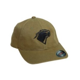 Gorra Aguila Olivo FlexFit T/M